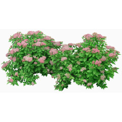 绿色花丛植物装饰图案