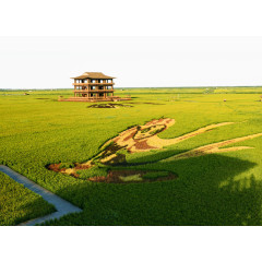 红海滩自然景观