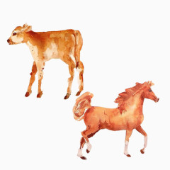 牛犊子小马水彩画