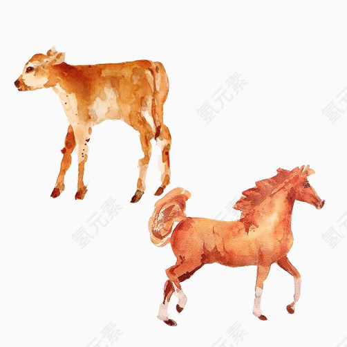 牛犊子小马水彩画