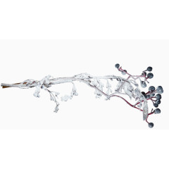 带雪小蓝花树枝