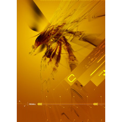 时尚科技未来感的炫彩背景图