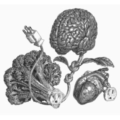 矢量心脑血管疾病防治插画