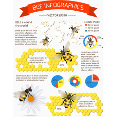 蜜蜂蜂巢信息图表