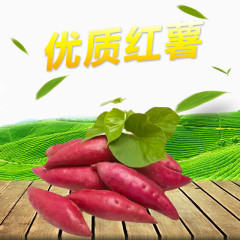 优质红薯