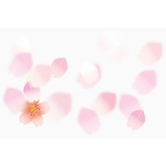 樱花花瓣背景素材