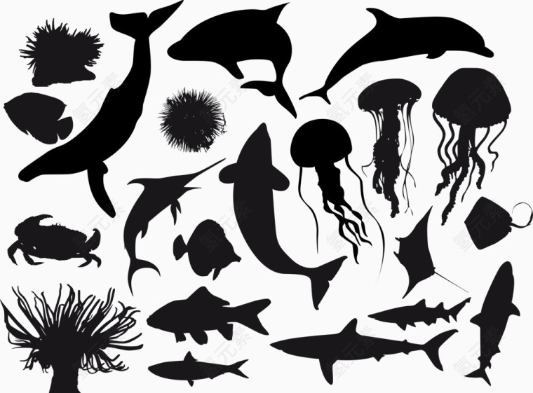 海洋生物剪影鲨鱼水母螃蟹