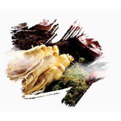 h5素材长白山人参