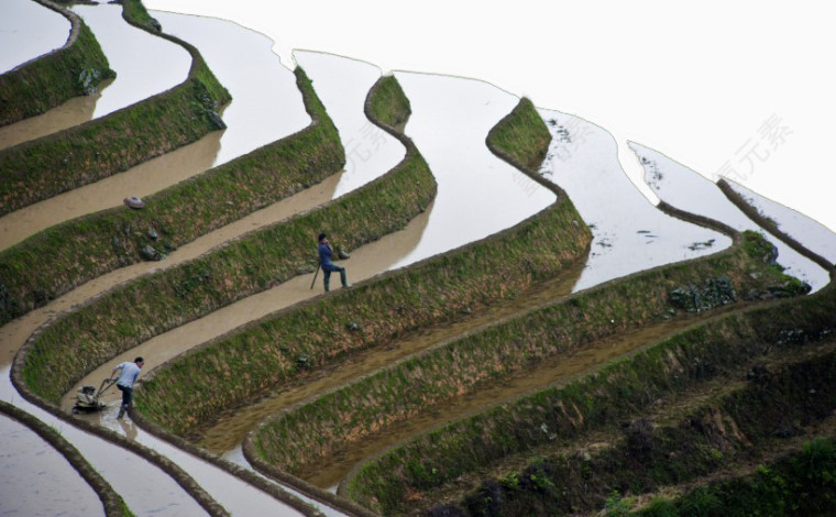 广西龙脊梯田风景