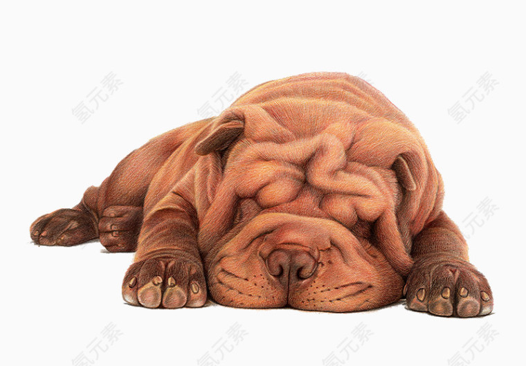 手绘睡觉的沙皮狗