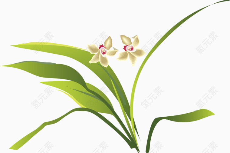 鸢尾花矢量图