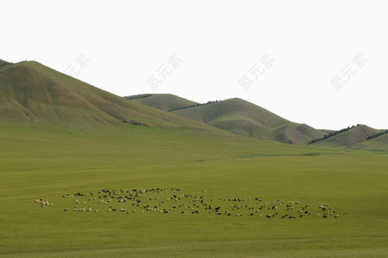 绿色草原牧场