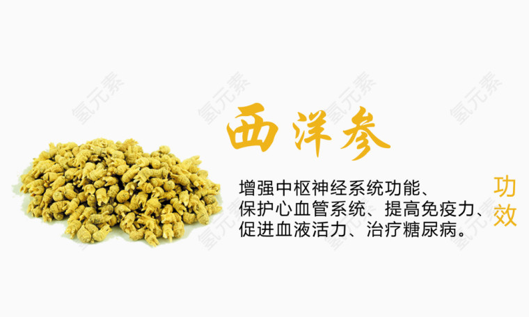 西洋参