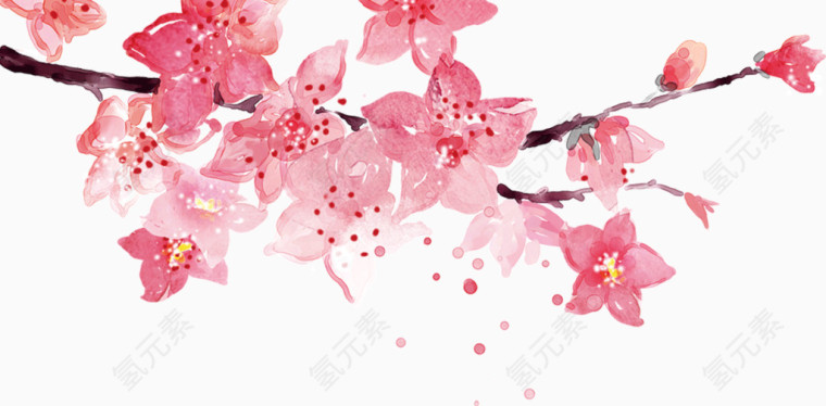 枝头浪漫粉色桃花