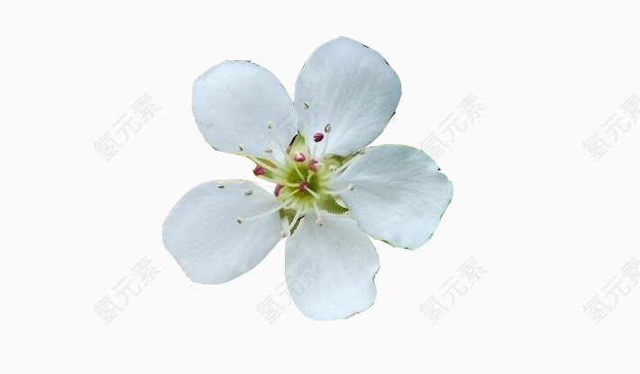 中国风 古风 古韵 清新