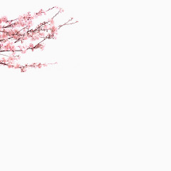 浪漫桃花节江北桃花