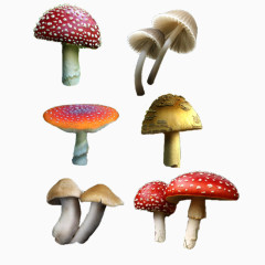 彩色蘑菇