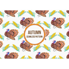 孔雀秋季秋天玉米