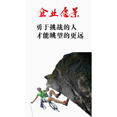 企业愿景