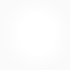 圆点 白色 亮点光   矢量图