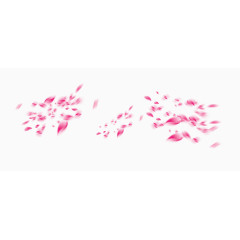 漂浮花瓣素材