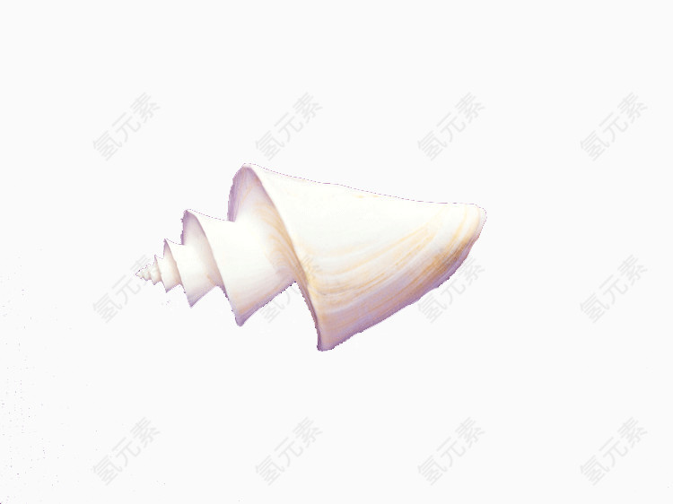 创意平面白色贝壳海螺