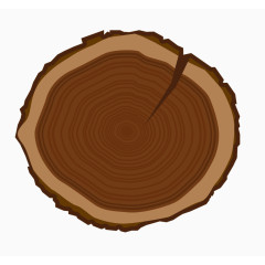 柳桉木材截面年轮手绘教学