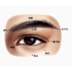 人体眼部穴位分布