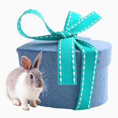 可爱的小兔子和新年礼物