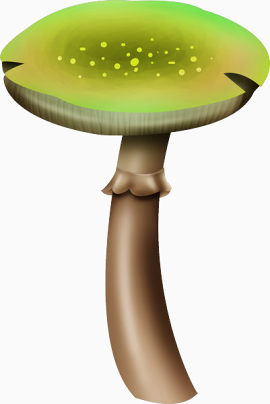色彩鲜艳的大蘑菇免扣素材