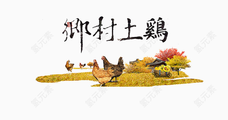 乡村土鸡