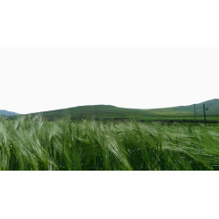 青海景点日月山