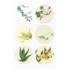 创意水彩植物标签