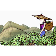 美女采茶图