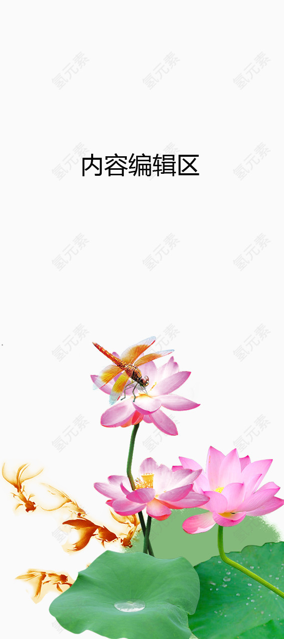 荷花上的蜻蜓