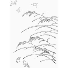 水稻和麻雀线描矢量素材