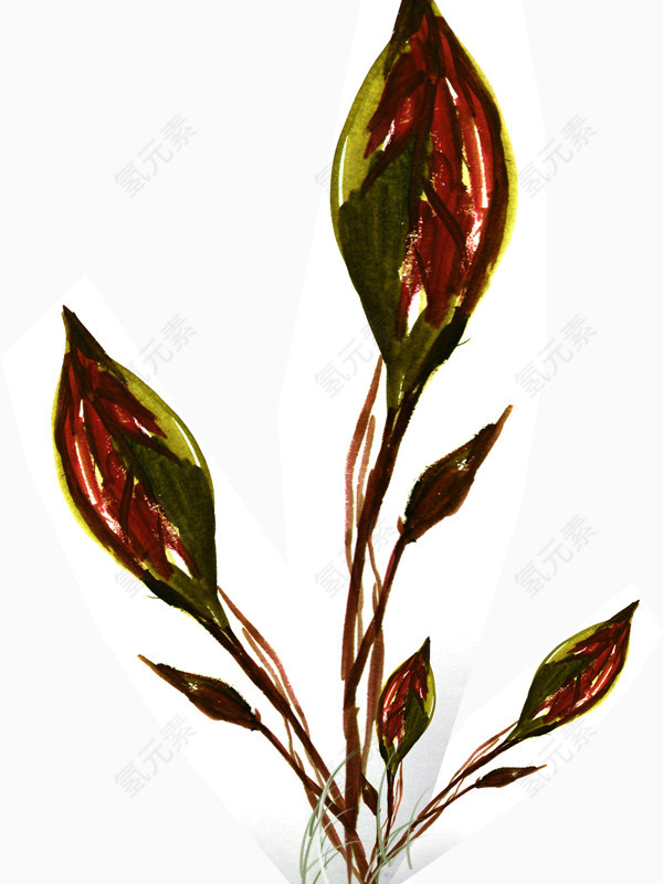 手绘抽象着色花骨朵