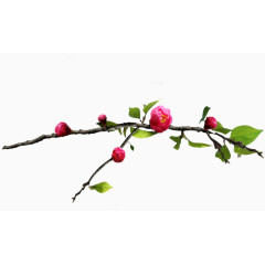 梅花风格古典图片