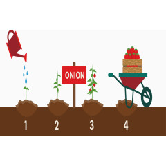 矢量图种植浇水