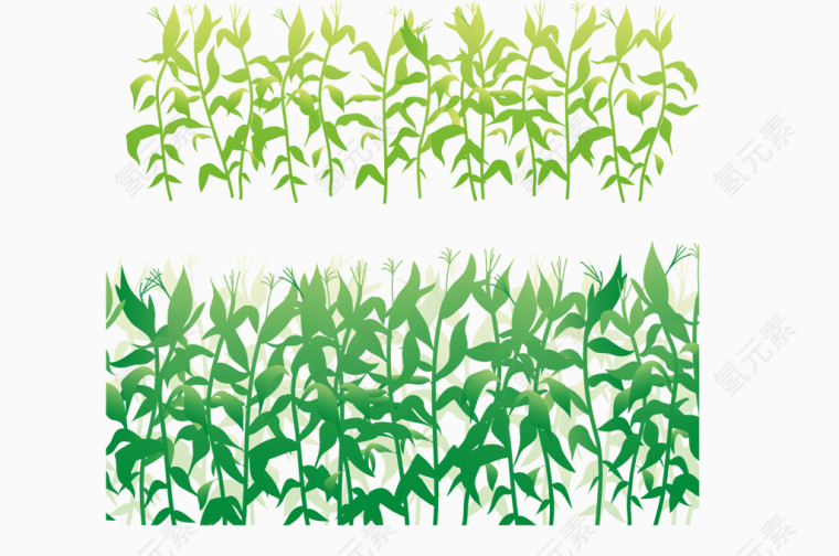 矢量手绘农作物