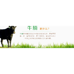 牛腩介绍黑牛背景