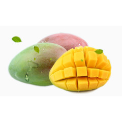 鲜颂达四川攀枝花凯特芒果