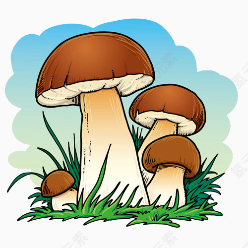 蘑菇树
