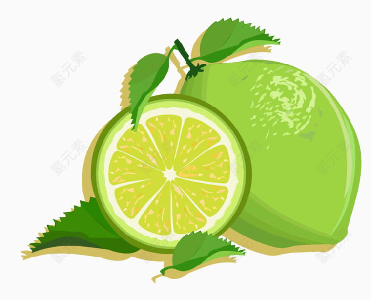 矢量青柠檬素材