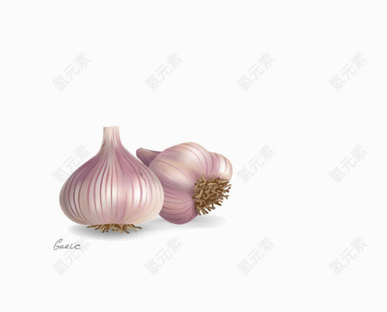 美味食材