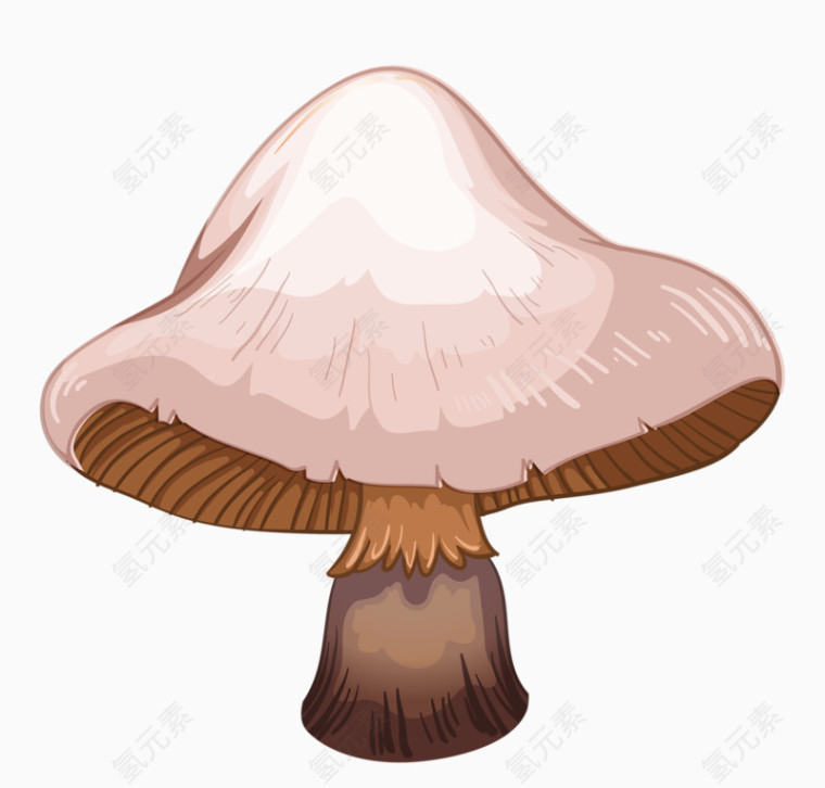 食物蘑菇