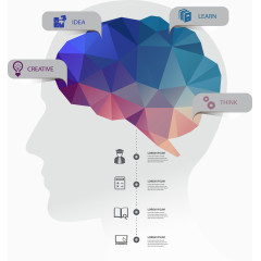 创意大脑功能信息图矢量素材