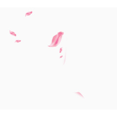 粉色花瓣