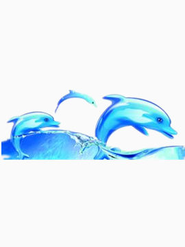 海豚