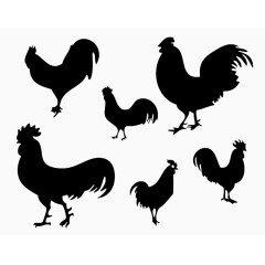 公鸡剪影
